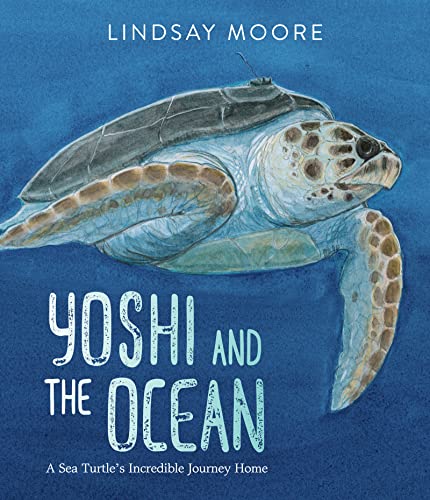 Yoshi And The Ocean : a sea turtle's incredible journey home