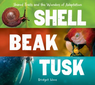 Shell Beak Tusk