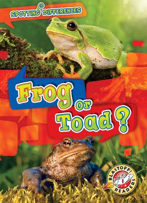 Frog Or Toad?