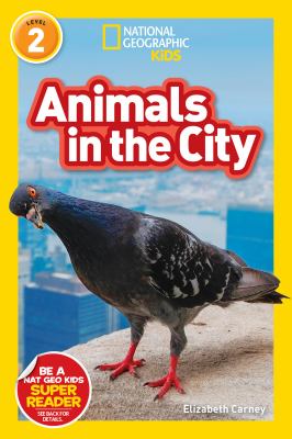 Animals In The City