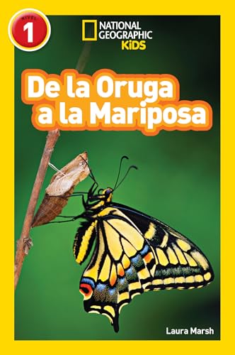 De la oruga a la mariposa