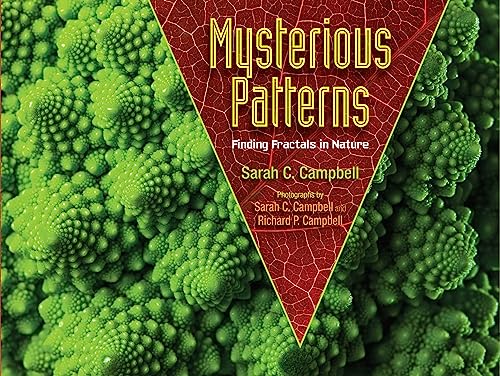 Mysterious Patterns : finding fractals in nature