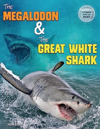 The Megalodon & The Great White Shark