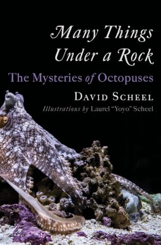 Many Things Under A Rock : the mysteries of octopuses