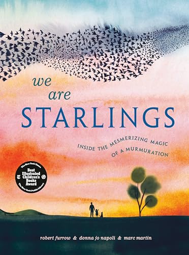 We Are Starlings : inside the mesmerizing magic of a murmuration