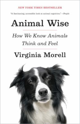 Animal wise : how we know animals think and feel