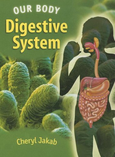 The digestive system