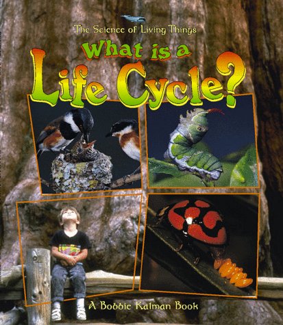 What is a life cycle