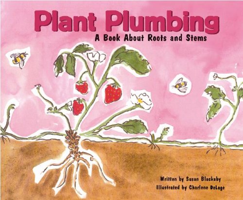 Plant plumbing : a book about roots and stems