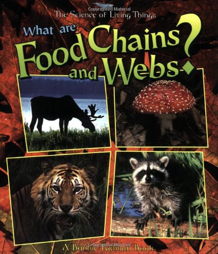 What are food chains and webs