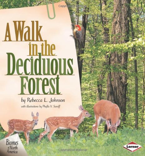 A walk in the deciduous forest