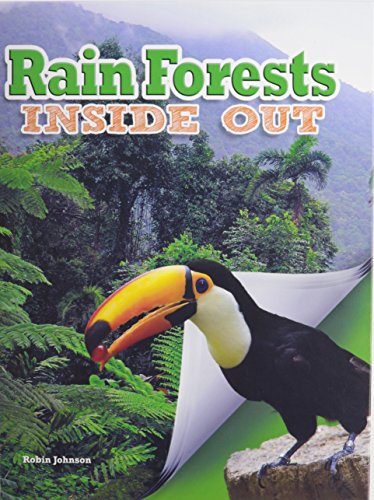 Rain forests inside out