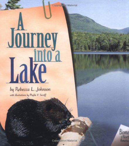 A journey into a lake