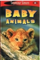 Baby animals