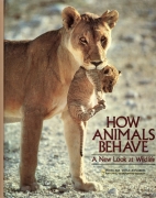 How animals behave : a new look at wildlife