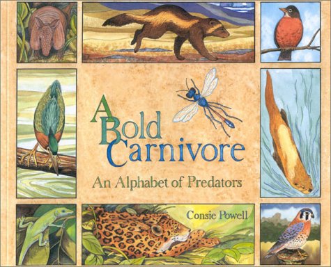 A bold carnivore : an alphabet of predators