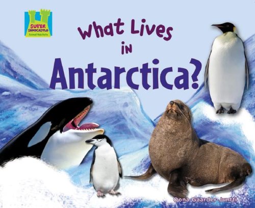 What lives in Antarctica?