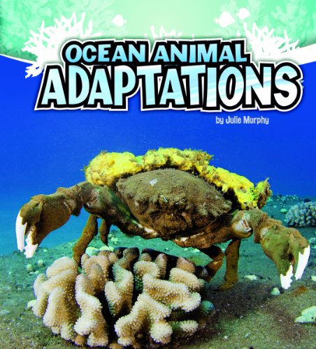 Ocean animal adaptations