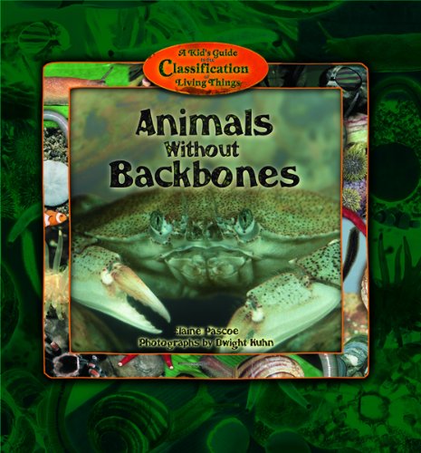 Animals without backbones