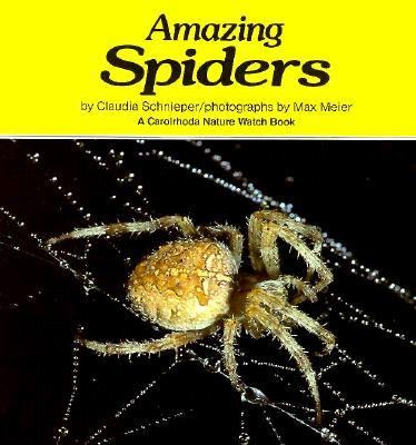 Amazing spiders