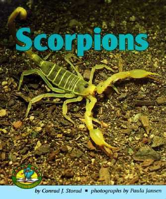 Scorpions