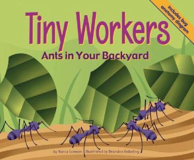 Tiny workers : ants in your backyard
