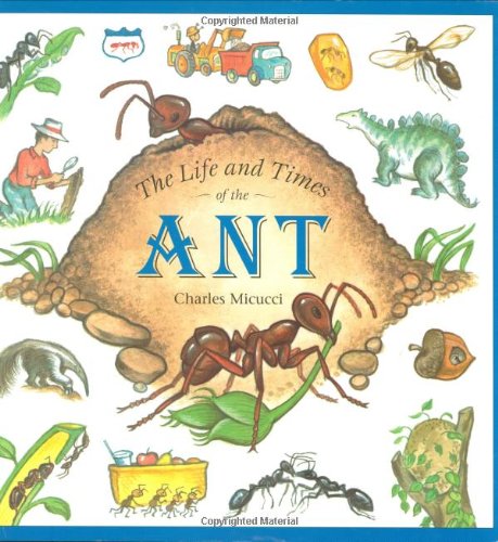 The life and times of the ant