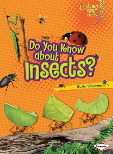 Do you know about insects?