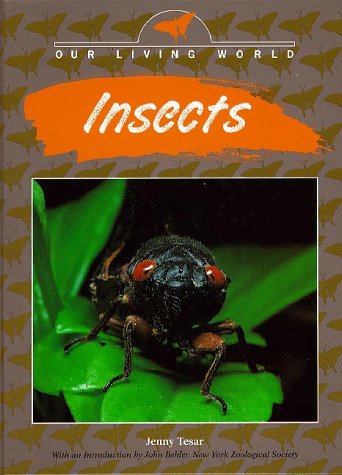 Insects