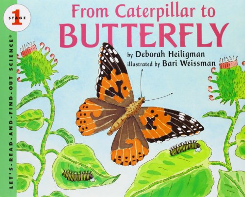 From caterpillar to butterfly