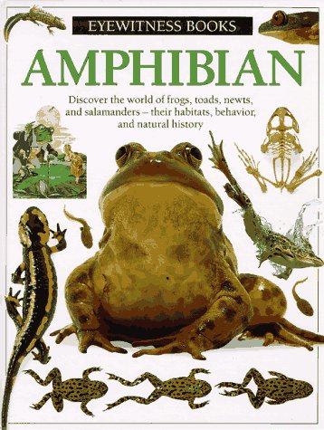 Amphibian