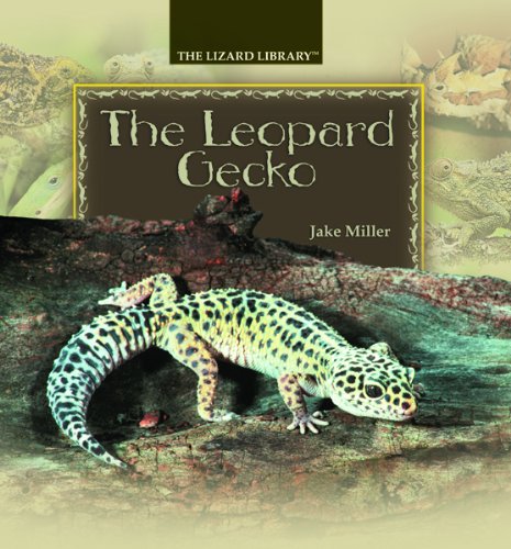 The leopard gecko