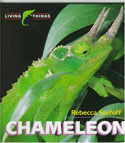 Chameleon