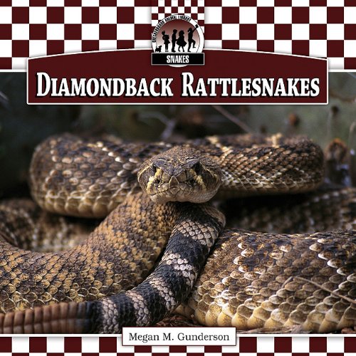 Diamondback rattlesnakes