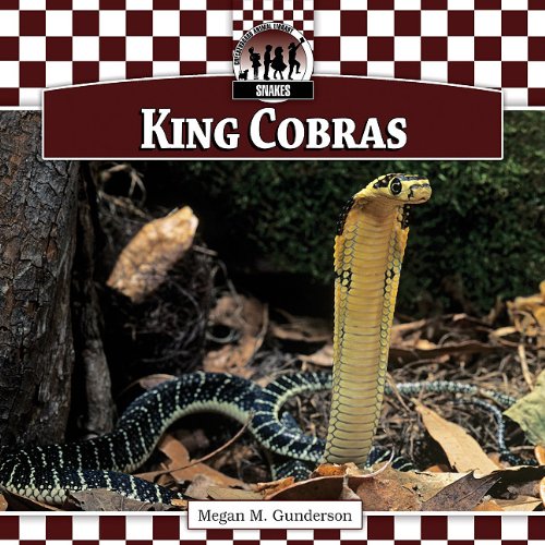 King cobras