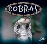 Cobras : amazing snakes