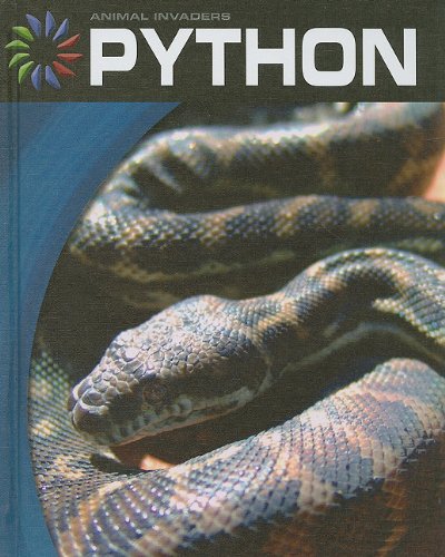 Python