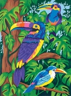 Jungle birds