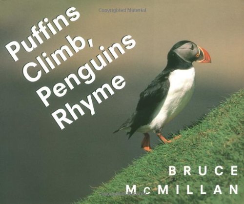 Puffins climb, penguins rhyme