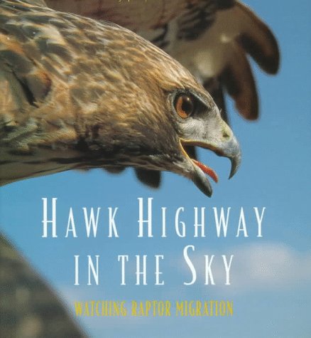 Hawk highway in the sky : watching raptor migration