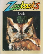 Owls