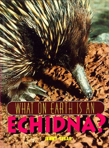 What on earth is an echidna