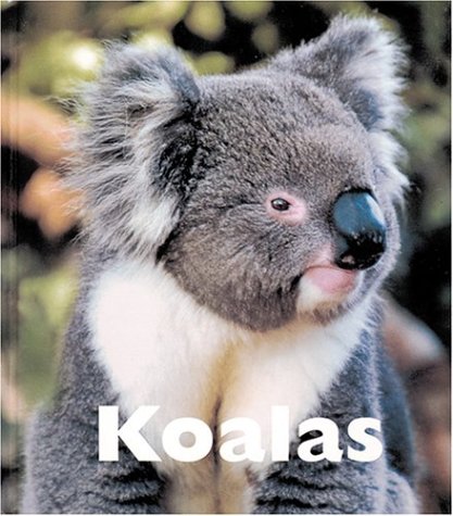 Koalas