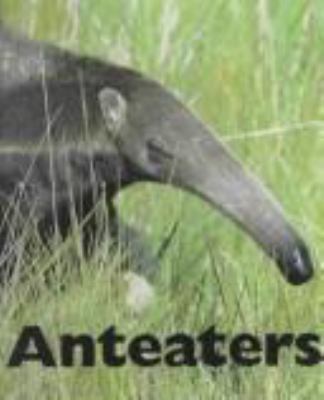 Anteaters