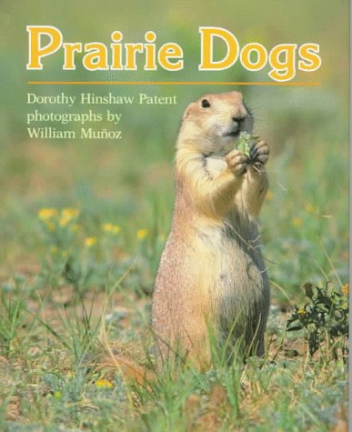 Prairie dogs