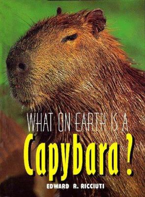 What on earth is a capybara