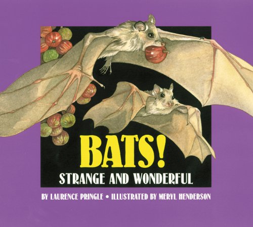 Bats : strange and wonderful