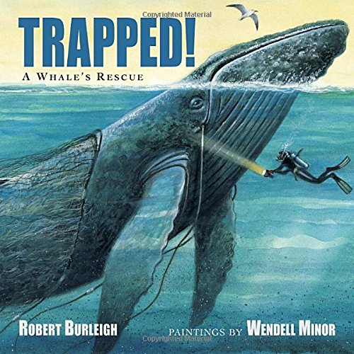 Trapped! : a whale's rescue