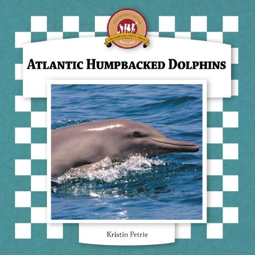 Atlantic humpbacked dolphins