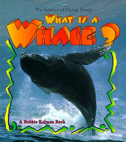 What is a whale